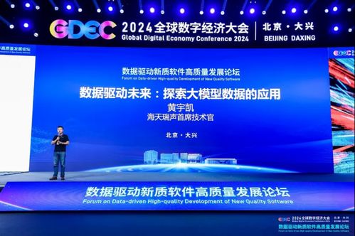 海天瑞聲cto黃宇凱出席全球數(shù)字經(jīng)濟大會 數(shù)據(jù)驅(qū)動新質(zhì)軟件高質(zhì)量發(fā)展論壇 并發(fā)表演講