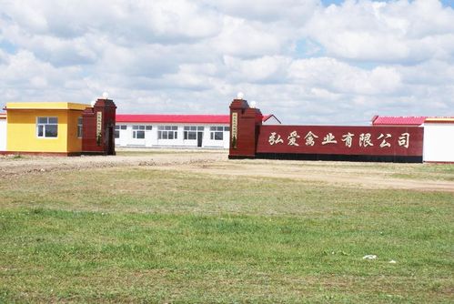 弘愛集團(tuán) 造血式扶貧與安全生態(tài)有機(jī)農(nóng)產(chǎn)品的創(chuàng)新之路