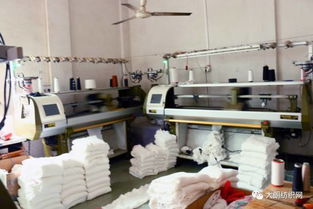 志豐針織時裝廠 專業印花毛衣系列，歡迎來樣來圖訂貨