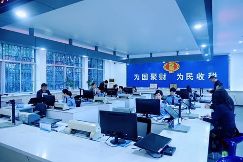 慶陽稅務 高效辦稅促發展，稅惠服務暖企心